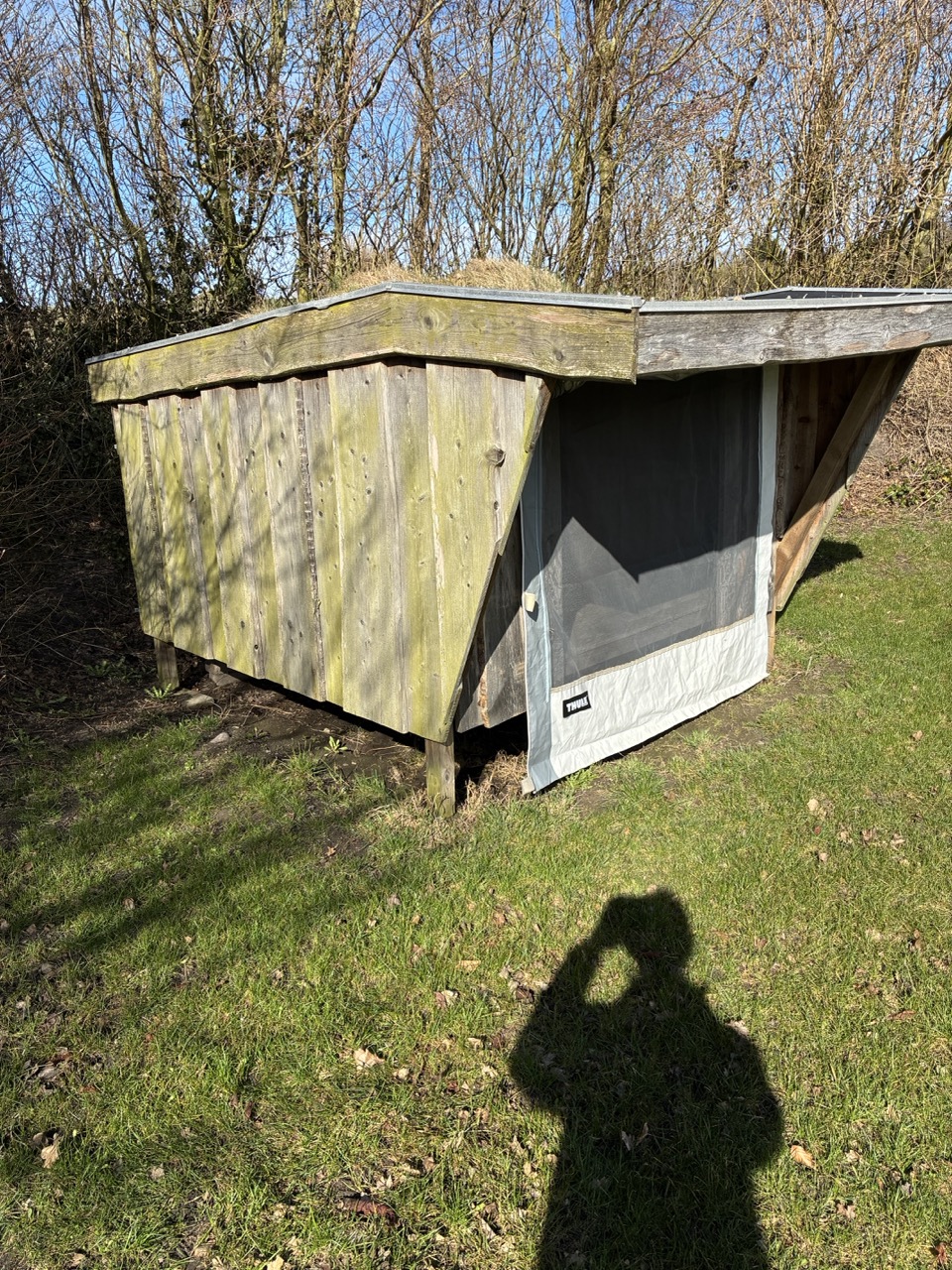 Gro%C3%9F%20%28IMG_1235%29